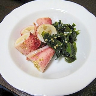 ボイルヤリイカ レシピ 人気 クックパッド ボイルヤリイカ レシピ 人気 クックパッド Wajibkudusuksesgajigedebejo86 ボイルヤリイカ レシピ 人気 クックパッド ボイルヤリイカ レシピ 人気 クックパッド Wajibkudusuksesgajigedebejo86